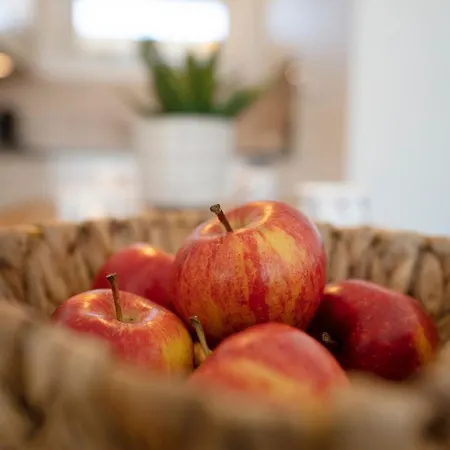 Weidenweg 14- Sonnenblume 9 *